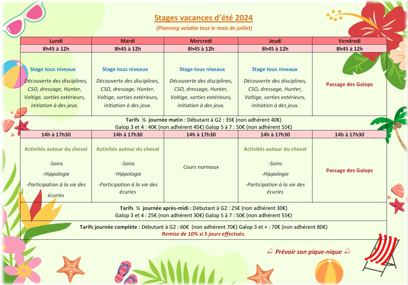 Stage été 2024